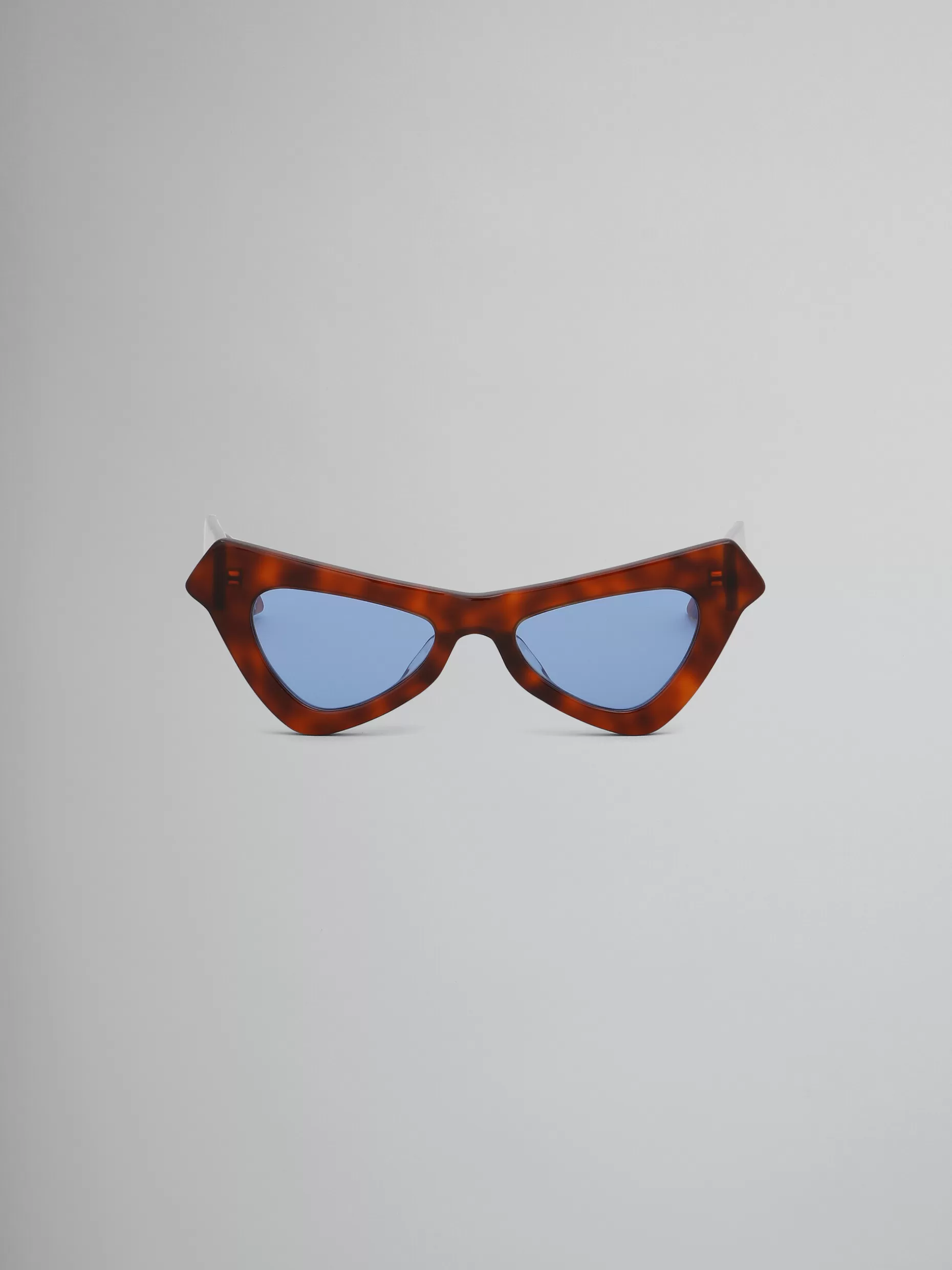 Women Marni Tortoiseshell Fairy Poolsacetate Sunglasses